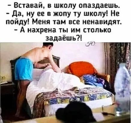 Вставай в шкппу опаздаешь да ну ее в жопу ту школу Не пойду Меня там все ненавидят А нахрена ты им столько задаёшь