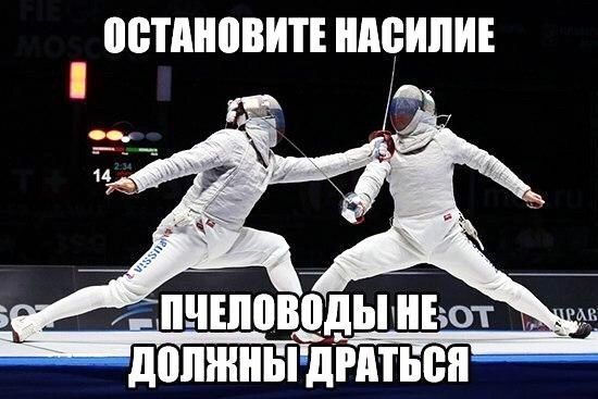 ВБТДНВВИТЕ ЩИПИЕ