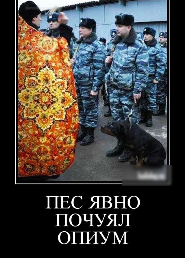 ПЕС ЯВНО ПОЧУЯЛ ОПИУМ