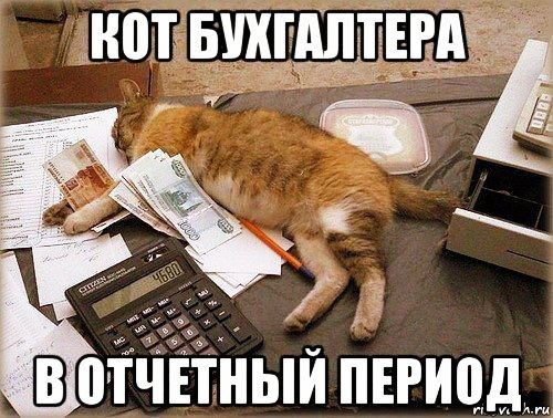 В оіЧЁтный пипец