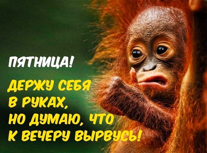 ДЕИКЧ в рудах но думдю м к вечеру вырвёв
