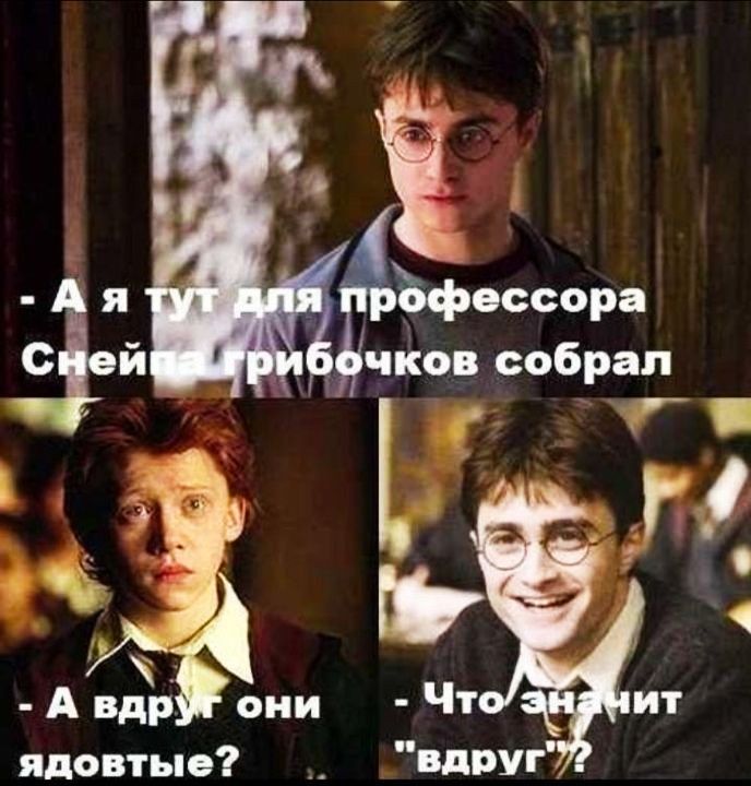 ЪФессора чіюв собрал г Авдр они Ч ядовтые Вдруг