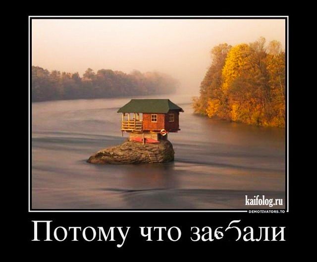 Потому что заебали