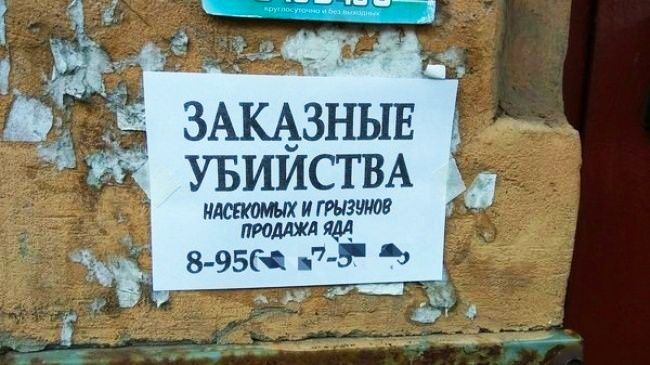 ЗАКАЗНЫЕ УБИИСТВА _ _ илсскомых и грызунов продаж1 8 956 У