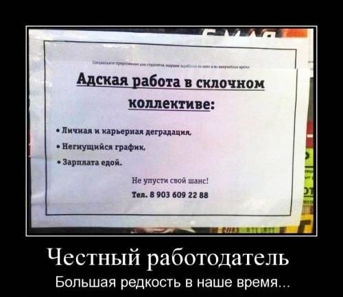 Адская рабод вЗающд п и кар арии тп вьющийся грип щмт в Кнутними 1 м ш и и Честный работодатель БОПЬШЗЯ редкость В наше время