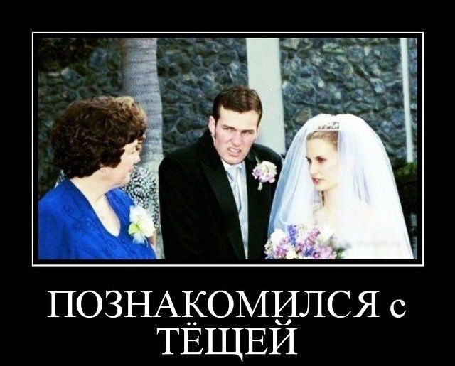 ПОЗНАКОМИЛСЯ с ТЁЩЕЙ