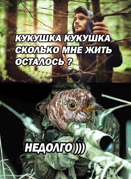 вт НБМШФ