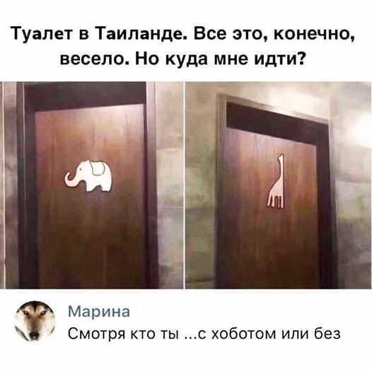 Туалет в Таиланде Все это конечно весело Но куда мне идти Марина Смотря кто ты с хоботом или без