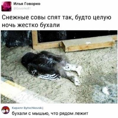 илья тюрки Снежные совы спят так будю целую ночь жестко бухали Ф с м