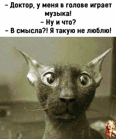доктор у меня в голове играет музыка Ну и что В смысла Я такую не люблю