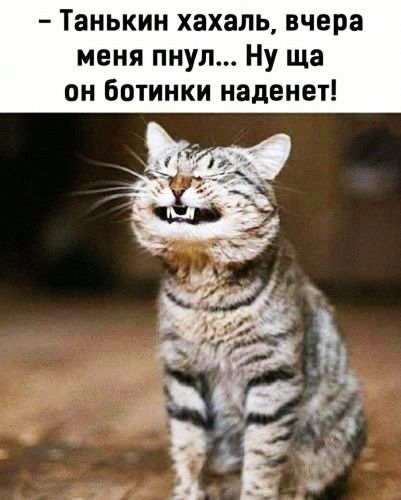 Танькин хахаль вчера меня пнул Ну ща он ботинки наденет