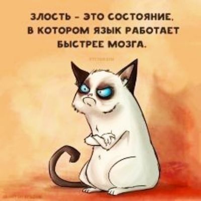 злость ЭТО СОСТОЯНИЕ КОТОРОМ ЯЗЫК РАБОТАЕТ БЫСТРЕЕ МОЗГА