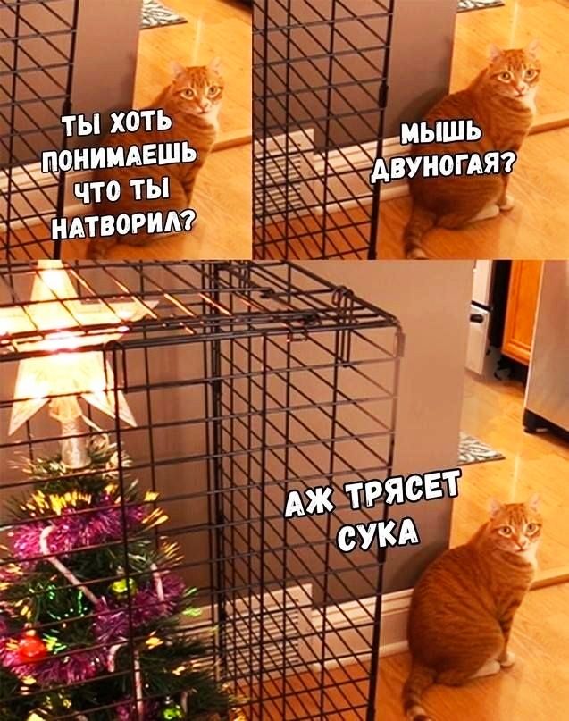 ты хоть _ На_дднимяешь 5 что ты