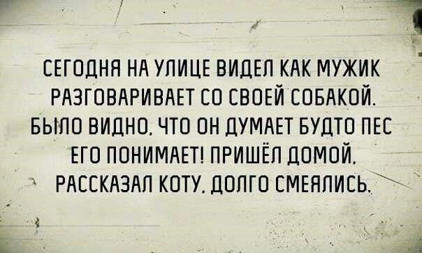 3 сегодня нд УЛИЦЕ ВИДЕЛ кдк мужик РАЗГОВАРИВАЕТ со своыд совдкои выпо видно что он ДУМАЕТ Будто пы ЕГО ППНИМАЕТ ПРИШЁП домой РАЕЕКАЗАП коту долго СМЕНПИЕЬ