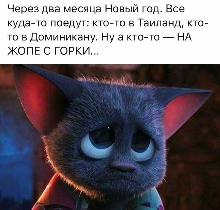 Через два месяца Новый год Все куда то поедут кто то в Таиланд кто то в Доминикану Ну а ктото НА ЖОПЕ С ГОРКИ