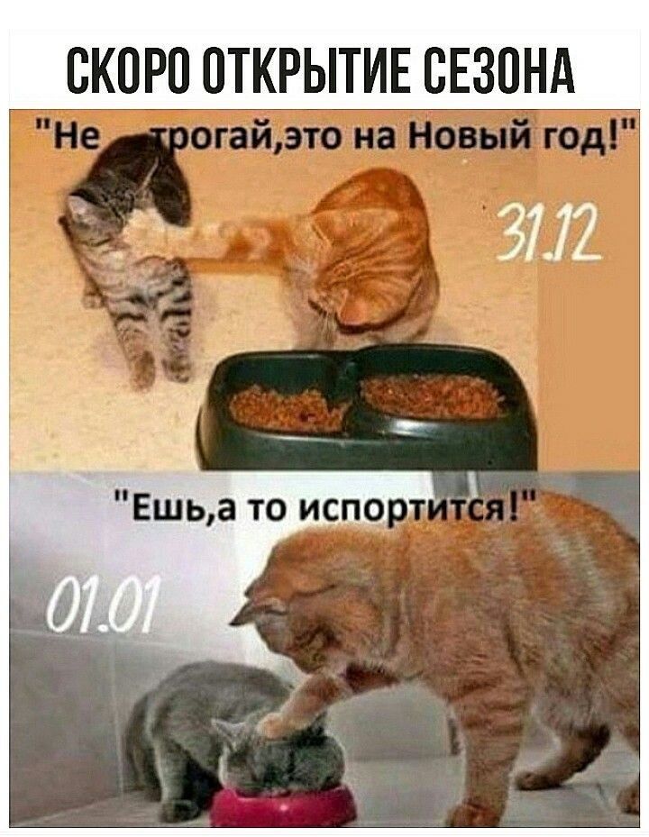 ОКОРО ОТКРЫТИЕ СЕЗОНА