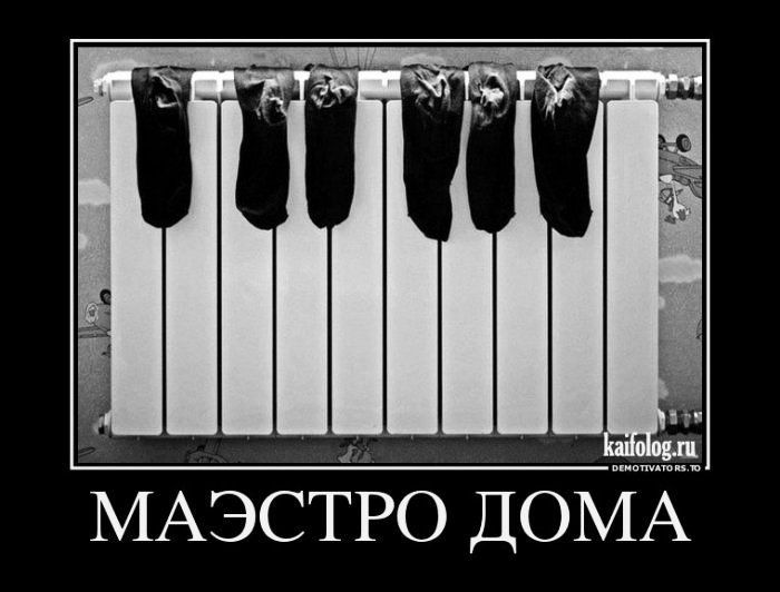 МАЭСТРО ДОМА