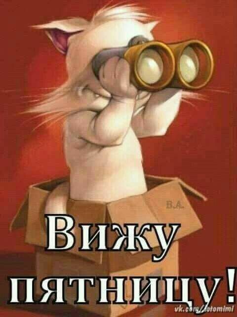 ВИЖЁЗЁ ПЯТЁЙЁЫБ
