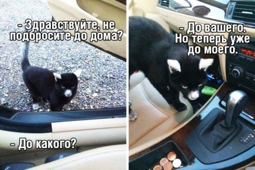 до аш го Но тепер ь уже до моего нлп