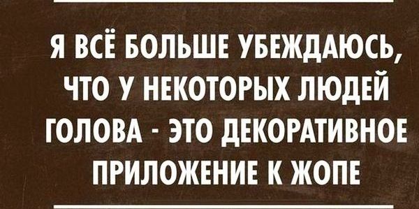 Я ВСЕ БОЛЬШЕ УБЕЖдАЮСЬ ЧТО У НЕКОТОРЫХ ЛЮДЕЙ ГОЛОВА ЭТО дЕКОРАТИВНОЕ ПРИЛОЖЕНИЕ К ЖОПЕ