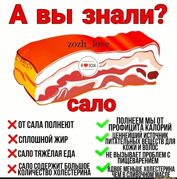 А 202ИТ1 і птсдлдпплнвют Прод НИтИкдлЁгии Тсплпшнпйжиг иИтНЕлЕьИ шИиввёЁсЁвилля к ИИ ВО _САЛП ТЯЖЕЛАЯ ЕДА НЕ ВЫЗКЫВА ЕТ П РПБЛЕМС ПИЩЕВАРЕНИЕМ САПП сп ЕРЖИТ БПЛЬШ НЕ КППИЧЕ во ХПЛЕВТЕРИШ ИИЁВОЕ МЕНЬШЕ ИППЕВТЁЁЁЁ
