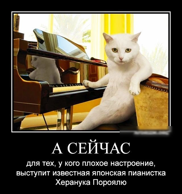А СЕЙЧАС для тех у кого плохое настроение выступит известная японская пианистка Херанука Порояпю