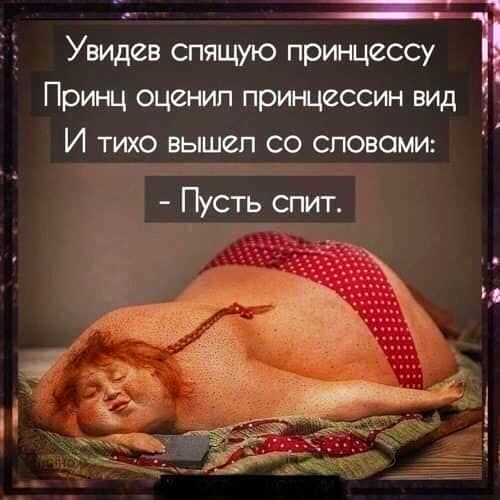 Увидев спящую принцессу Принц оценил принцессин вид И тихо вышел со словами _ 1344 Пусть спит
