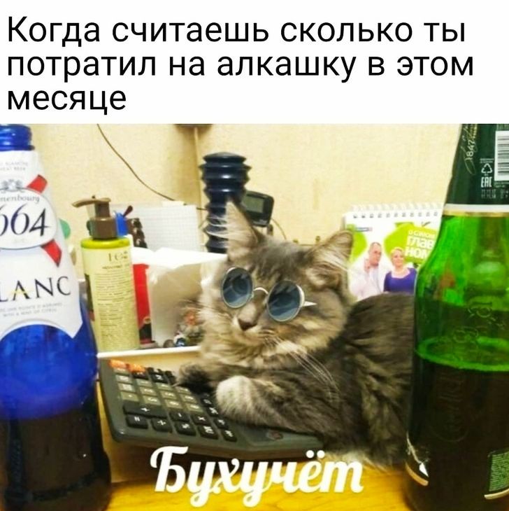 Когда считаешь сколько ты потратил на алкашку в этом месяце