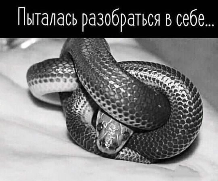 Пыталась разобраться всебе