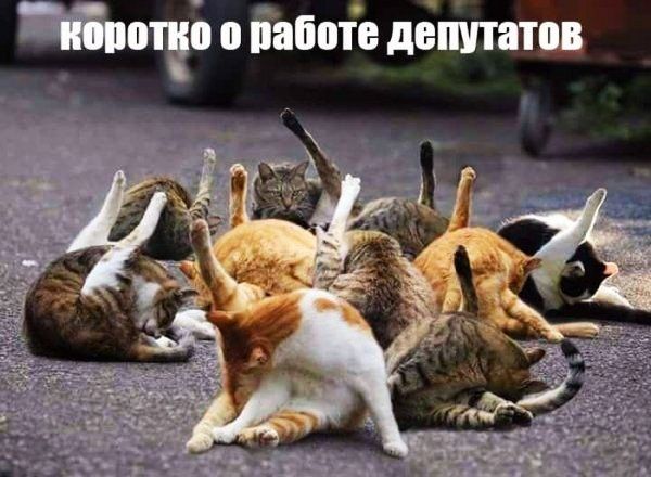 отче о інботе дёпшатов