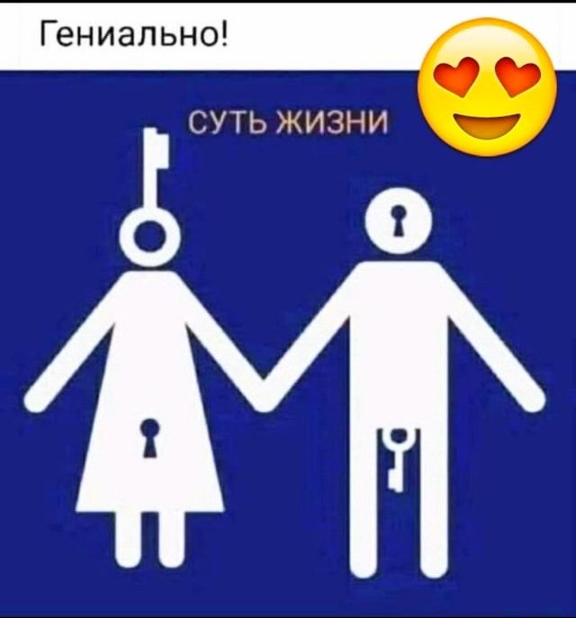 Гениально СУТЬ 3313 111