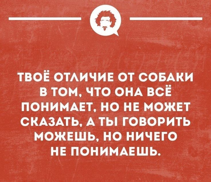 твоЁ отичив от совАки в томчто ОНА всё пониммгт но не может СКАЗАТЬ А ты говорить можешь но ничего нв пониммгшь