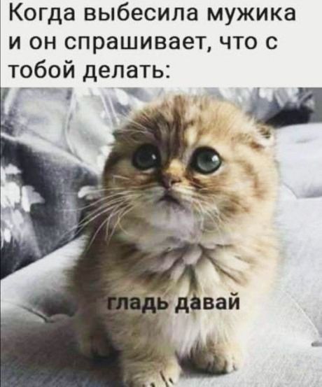 Когда выбесила мужика и он спрашивает что с тобой делать