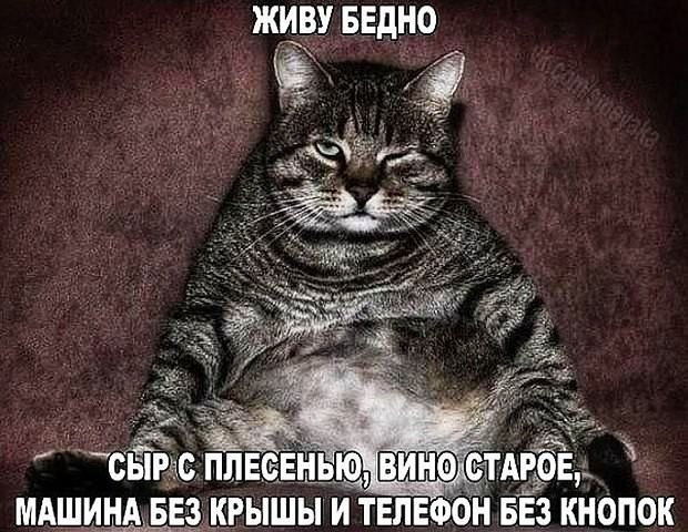 живу БЕдНО _ 1 _ МАШИНА БЕЗ ШЫШЫ И ТЕЛЕФОН БЕЗ КНОПОК
