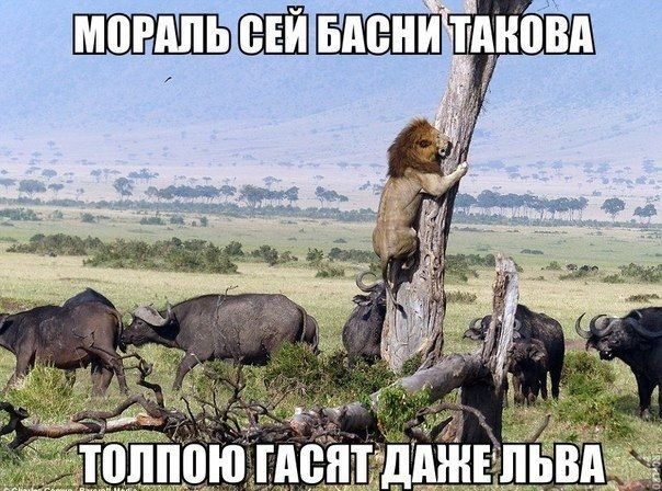 ипээйёшвлпмінж