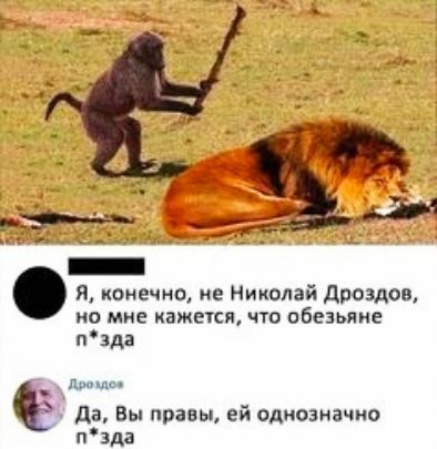 я конечно не Николай дроздов но мне кажется что обезьяие пзда ш да Вы правы ей однозначно пзда