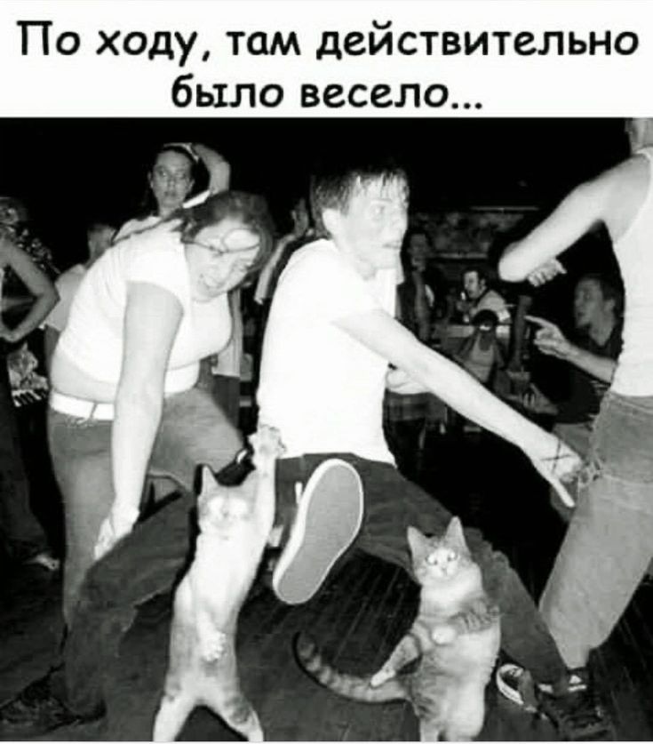 По ходу там действительно было весело