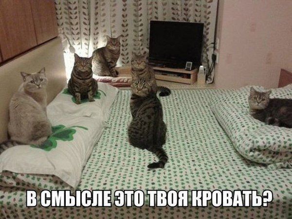 ч и ч в Ё ч