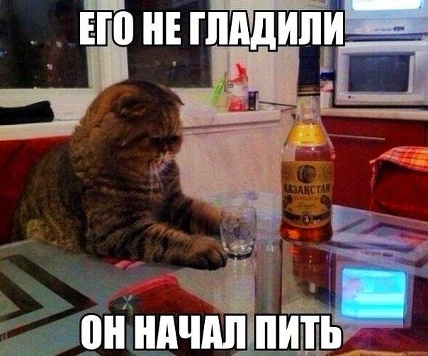 _д 7 31 ЪШЦВЧШ И