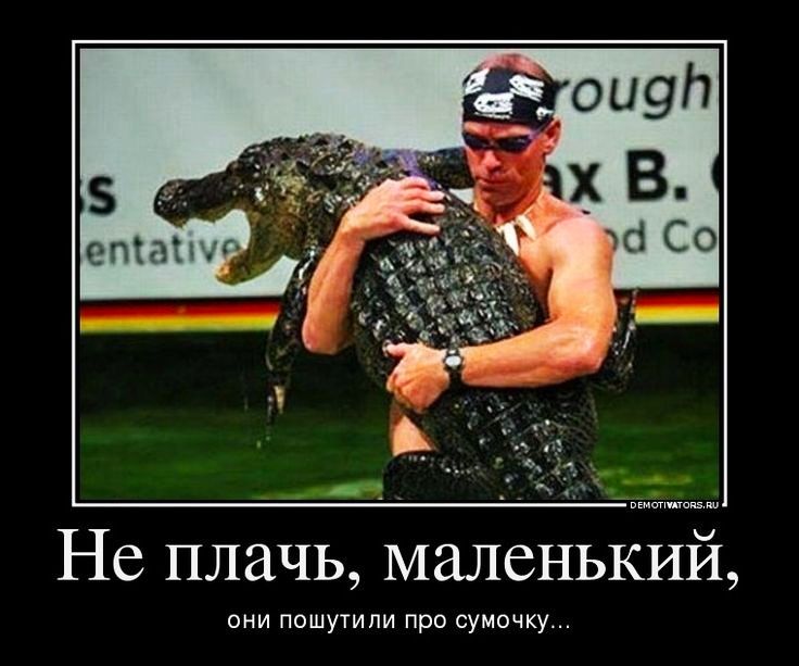 Не плачь маленькии они пошутили про сумочку