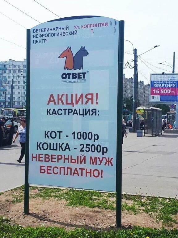 Уп коппонтдй і НЕФРОПОГИЧЕСКИЙ ЦЕНТР ВПЕРИНАРНЫЙ АКЦМЯ КАСТРАЦИЯ КОТ 1000р КОШКА к 250 НЕВЕРЫЙ маяк __