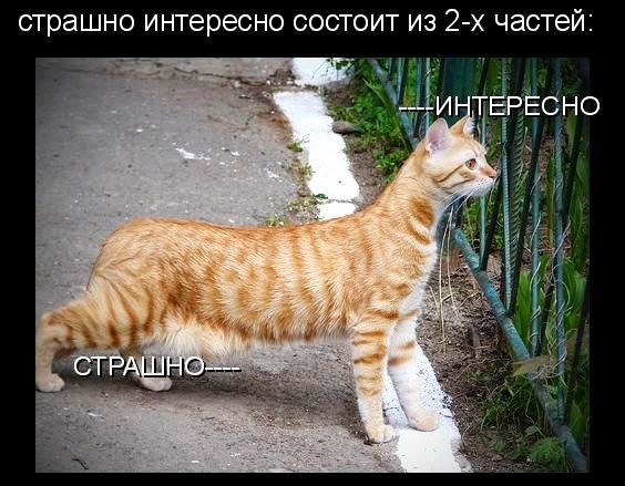 страшно ИНТЕРЕСНО СОСТОИТ ИЗ 2 х частей
