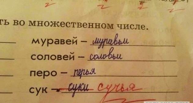 _ муравей _ соловей миди__ _ перо __ сук