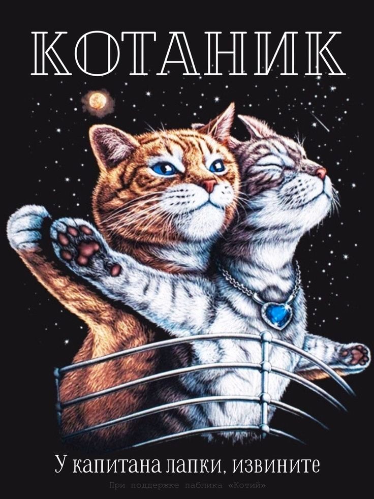 у КдПИТдНд ПдПКИ ИЗВИНИТЕ