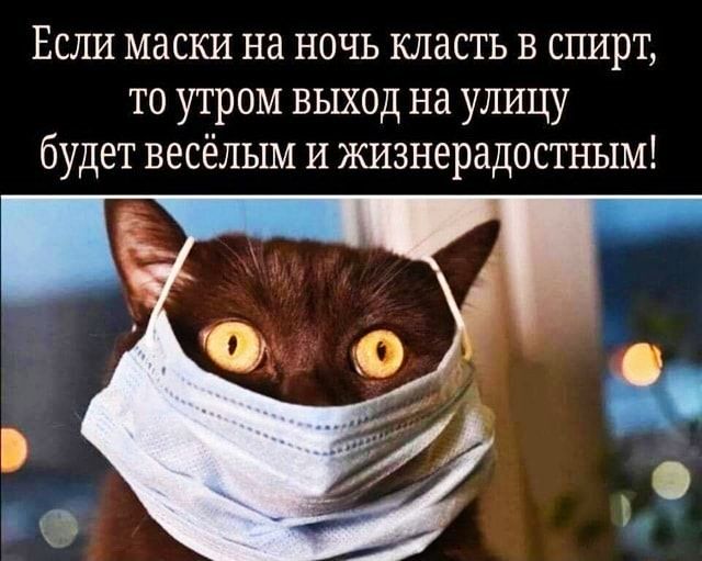 Если маски на ночь класть в спирт то утром выход на улицу будет весёлым и жизнерадостным