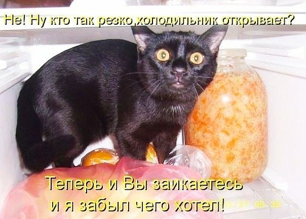 На Ну кто так 15 заикзэгэс ь Генэрь и и Я абыл чего хо гал