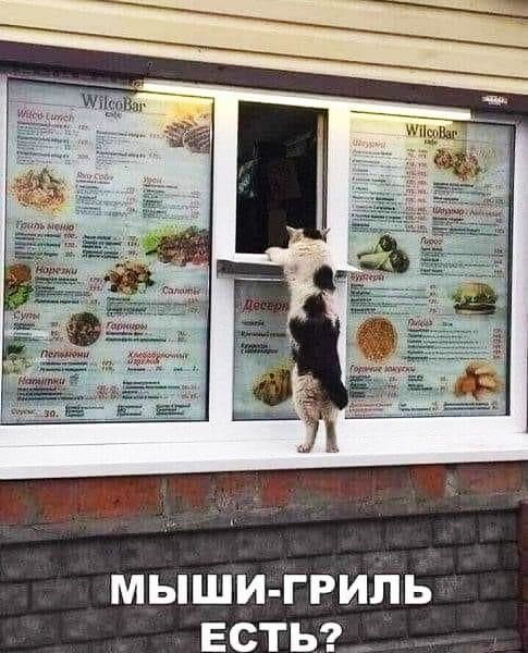 мьпши ггипь встьг_