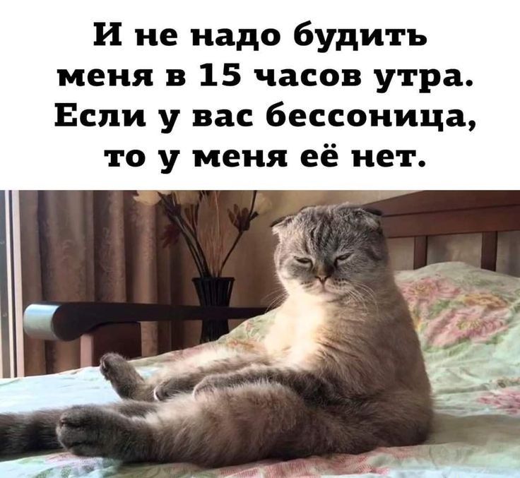 И не надо будить меня в 15 часов утра Если у вас бессоница то у меня её нет