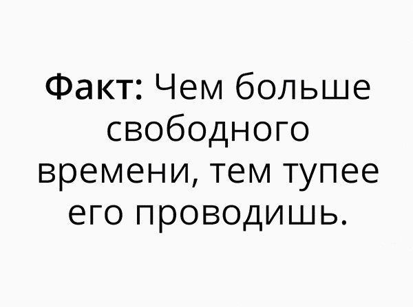 Факт Чем больше свободного времени тем тупее его проводишь