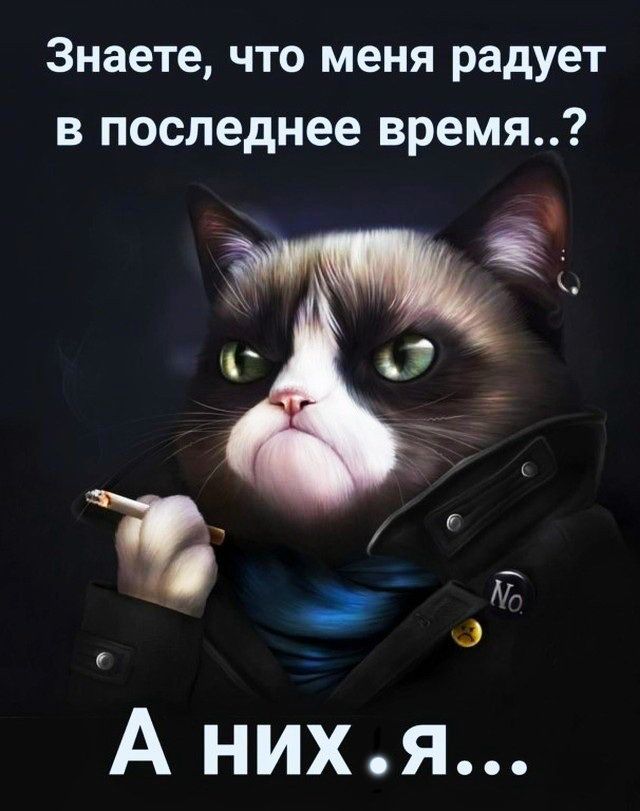 Знаете что меня радует в последнее время А нихя